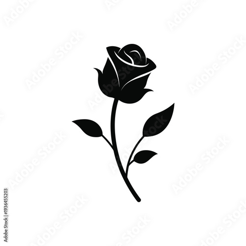 Photos Elegant rose flower silhouette with stem and leaves romantic love concept minima