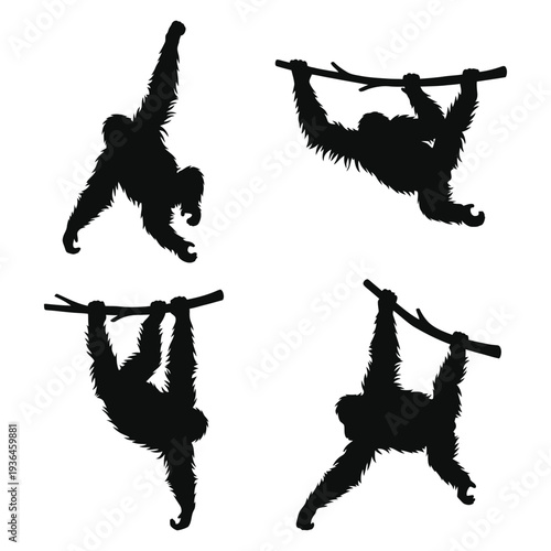 Hanging Orangutan Silhouette Set Vector — Monkey Ape Primate Swinging Wildlife Collection Black Isolated Clipart 