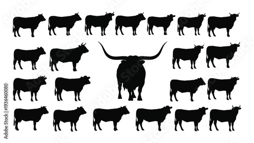 A large group of cows in a single file line