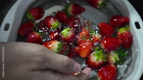 Washing a large quantity of strawberries in a basin.