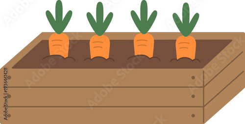 carrot in a wooden box