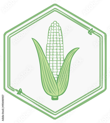 Corn cob illustration inside an outlined hexagon shape in light green