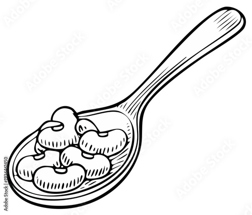 Ink drawing of a wooden spoon holding kidney beans