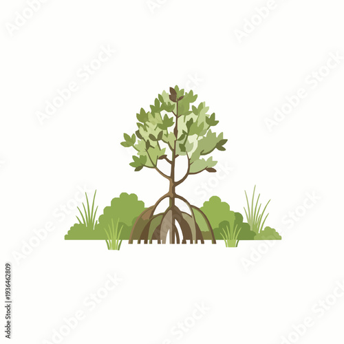 Mangrove tree vector isolated on shrubland for reforestation flat illustration EPS10