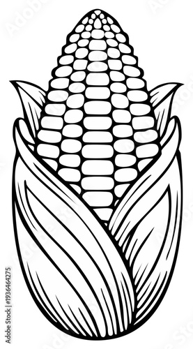 Black and white illustration of a ripe ear of corn with husks