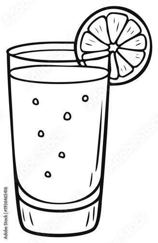 Hand drawn illustration of a tall glass filled with bubbly drink and a citrus slice garnish