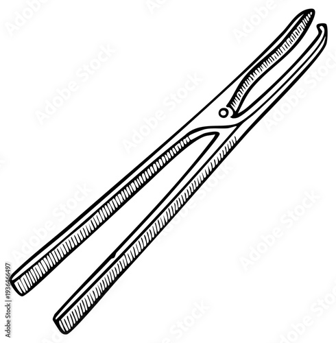 Illustration of botanical tweezers used in plant dissection for science or art projects or scientific illustration