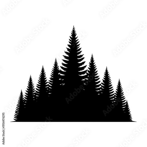 Dark forest silhouette of evergreen pine trees on transparent background. on transparent background