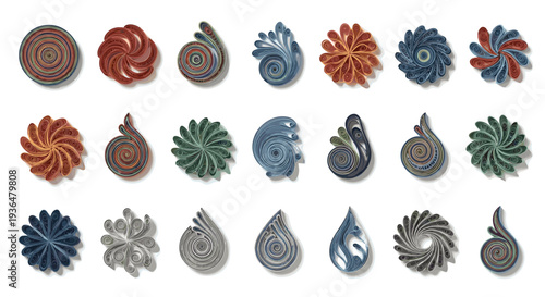 Collection of colorful seashells arranged in a pattern