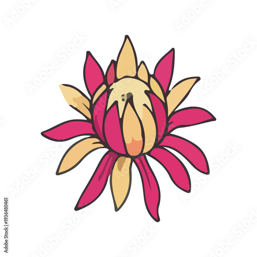 Exotic Pink and Yellow Flower