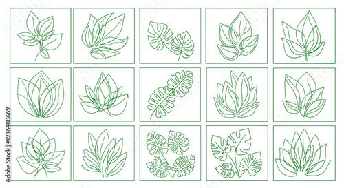 Collection of line art illustrations of various leaf and plant designs