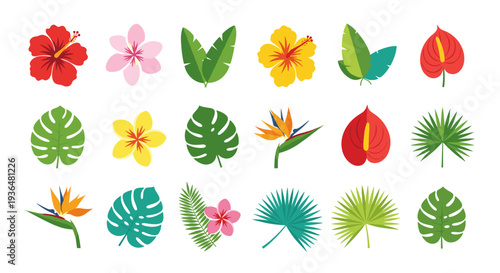 Collection of colorful tropical flowers and lush green leaves