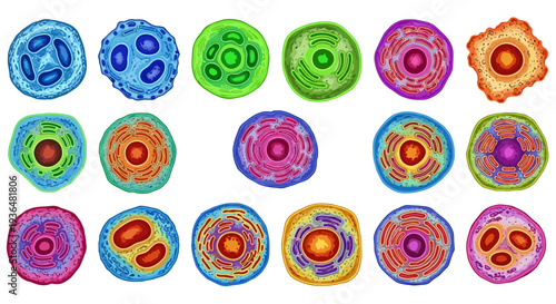 Collection of colorful cartoonstyle virus or bacteria illustrations