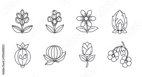Hand-drawn simple botanical line icons set with different flowers, buds, and leaves, perfect for garden and nature-themed designs