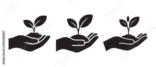 Hands holding small green plant sprouts, symbolizing growth, new beginnings, care, and agriculture, isolated on white.