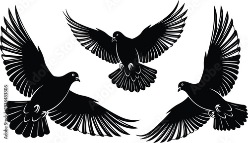 Flying pigeon silhouettes collection, dove birds with wings spread in different flight poses isolated wildlife avian illustration set