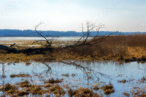 Przedwiośnie w Dolinie Górnej Narwi, Podlasie, Polska
