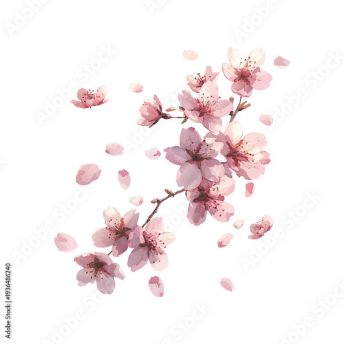 Wallpaper Mural cherry blossom petals in the air hand drawn vector illustration Torontodigital.ca