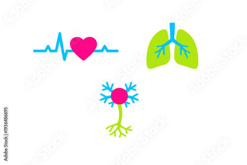 Stylized medical icons featuring a pink heart with a blue heartbeat line, green lungs with blue bronchi, and a pink neuron cell on a solid black background.