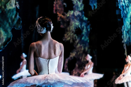 Wallpaper Mural Woman ballerina from behind in white tutu on stage. Torontodigital.ca