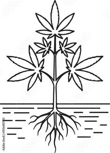 Cannabis plant line art showing leaves and root system in ground soil for botanical study or cultivation concepts
