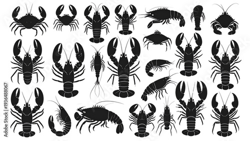 Lobster silhouette set, seafood animal illustration, marine creature graphic, crustacean drawing, fishing design element, cad drawing flat vector illustration