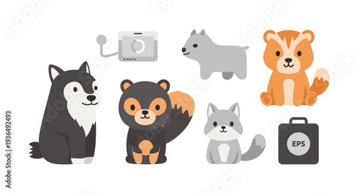 Cartoon animal illustrations husky bear fox wolf and camera designs