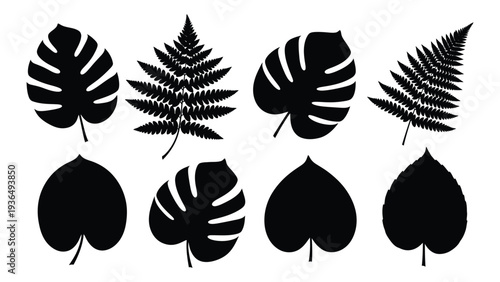 A collection of tropical leaves in black silhouette