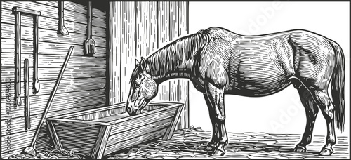 Horse feeding inside barn stable farm animal eating from wooden trough rural livestock care concept