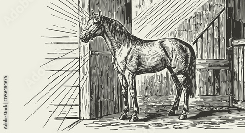 Vintage engraving of a horse standing inside a stable with sunlight streaming through the door