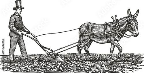 Vintage illustration of farmer plowing soil with donkey harness and plow tool