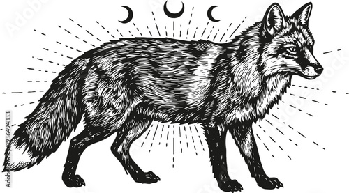 Mystical fox with moon phases black and white ink art, detailed animal illustration with cosmic symbolism and nature elements