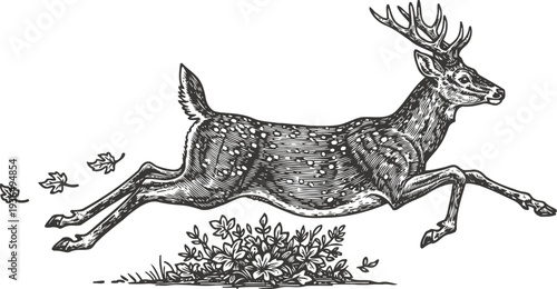 Running deer leaping over flowers black and white hand drawn vintage illustration