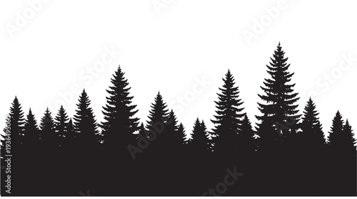 Silhouetted evergreen forest against a white background, showcasing a dense collection of pine trees in varied heights.