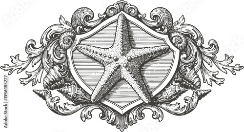 vintage ornamental frame with starfish and seashells detailed illustration