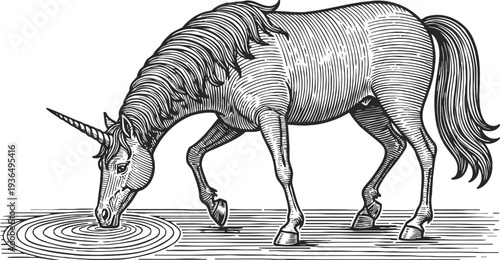 Intricate hand drawn unicorn drinking water with ripples detailed vintage engraving
