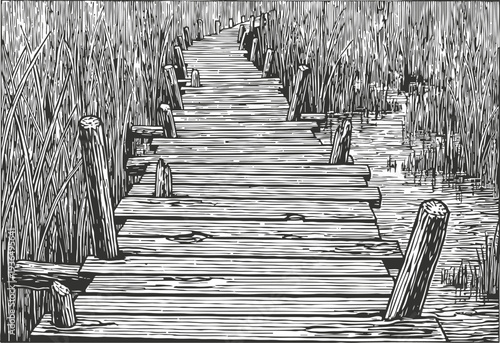 Rustic wooden boardwalk winding through tall marsh grass along the lakeside edge