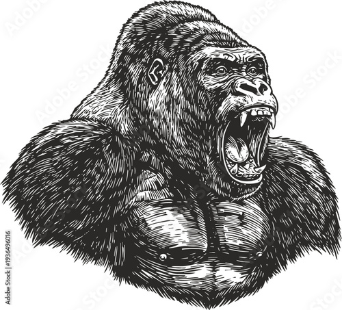 Powerful gorilla roaring aggressively, muscular wild animal with open mouth and sharp teeth detailed illustration