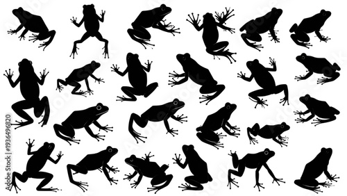 Frog silhouette collection, amphibian animal shapes, jumping frog poses, wildlife illustration, cad drawing flat vector illustration, black isolated design