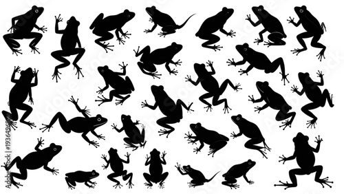 Frog silhouette collection, amphibian animal shapes, jumping frog poses, wildlife illustration, cad drawing flat vector illustration, black isolated design