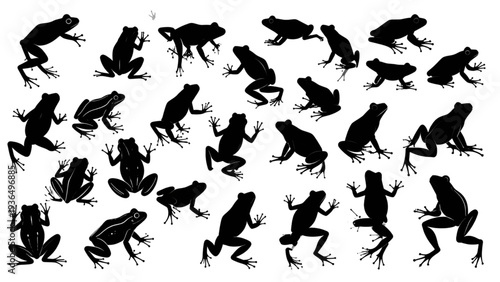 Frog silhouette collection, amphibian animal shapes, jumping frog poses, wildlife illustration, cad drawing flat vector illustration, black isolated design
