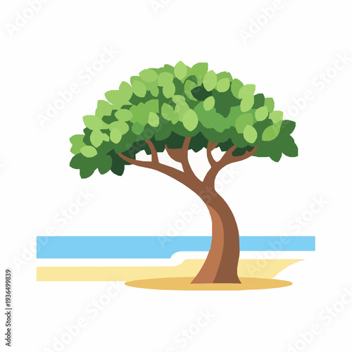 Foto Minimal Divi Divi tree on Aruba beach vector flat illustration EPS10 isolated on