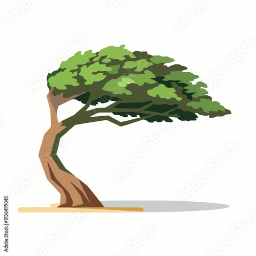 Slika na platnu Divi Divi tree vector illustration on Aruba beach flat isolated EPS10