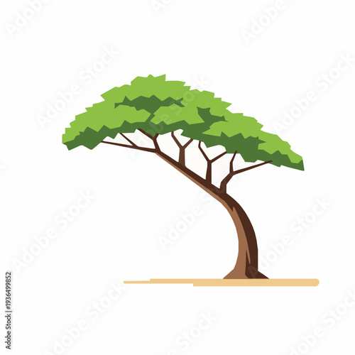 Schilderij op canvas Flat Divi Divi tree leaning on beach vector illustration Aruba EPS10 isolated on