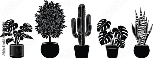 Collection of indoor potted plants silhouettes including monstera, cactus, leafy houseplants and snake plant, modern botanical home decor vector illustration set