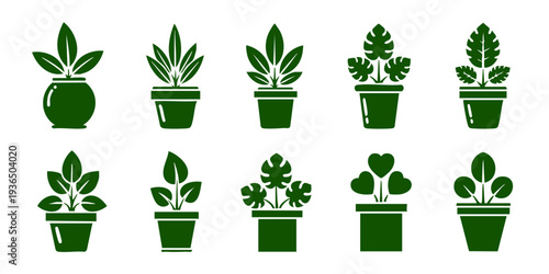 A collection of potted plants with diverse foliage displayed in a grid arrangement