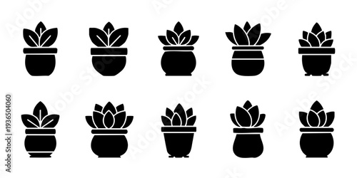 Collection of various potted plants icons in different pot designs and flower arrangements displayed together