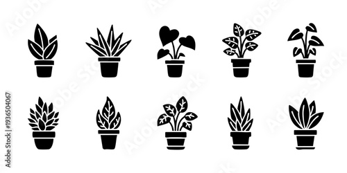 Collection of Various Potted Plants Illustrated in Black Silhouettes Against a Clean Background from a Straight-On Viewpoint