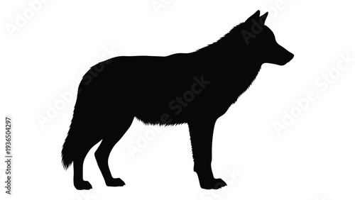 A black silhouette of a dog standing on a white background