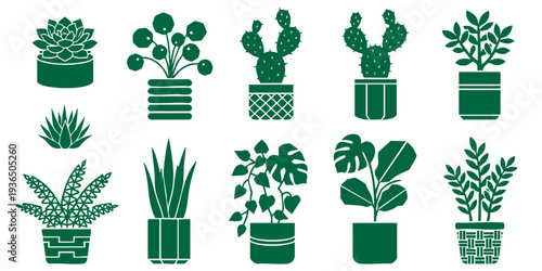 Collection of various houseplants displayed in decorative pots, showcasing diverse foliage and creative container designs from a straightforward viewpoint